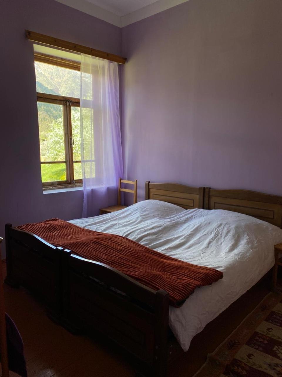 Lia Jamdeliani Guest House Bagvdanari Extérieur photo