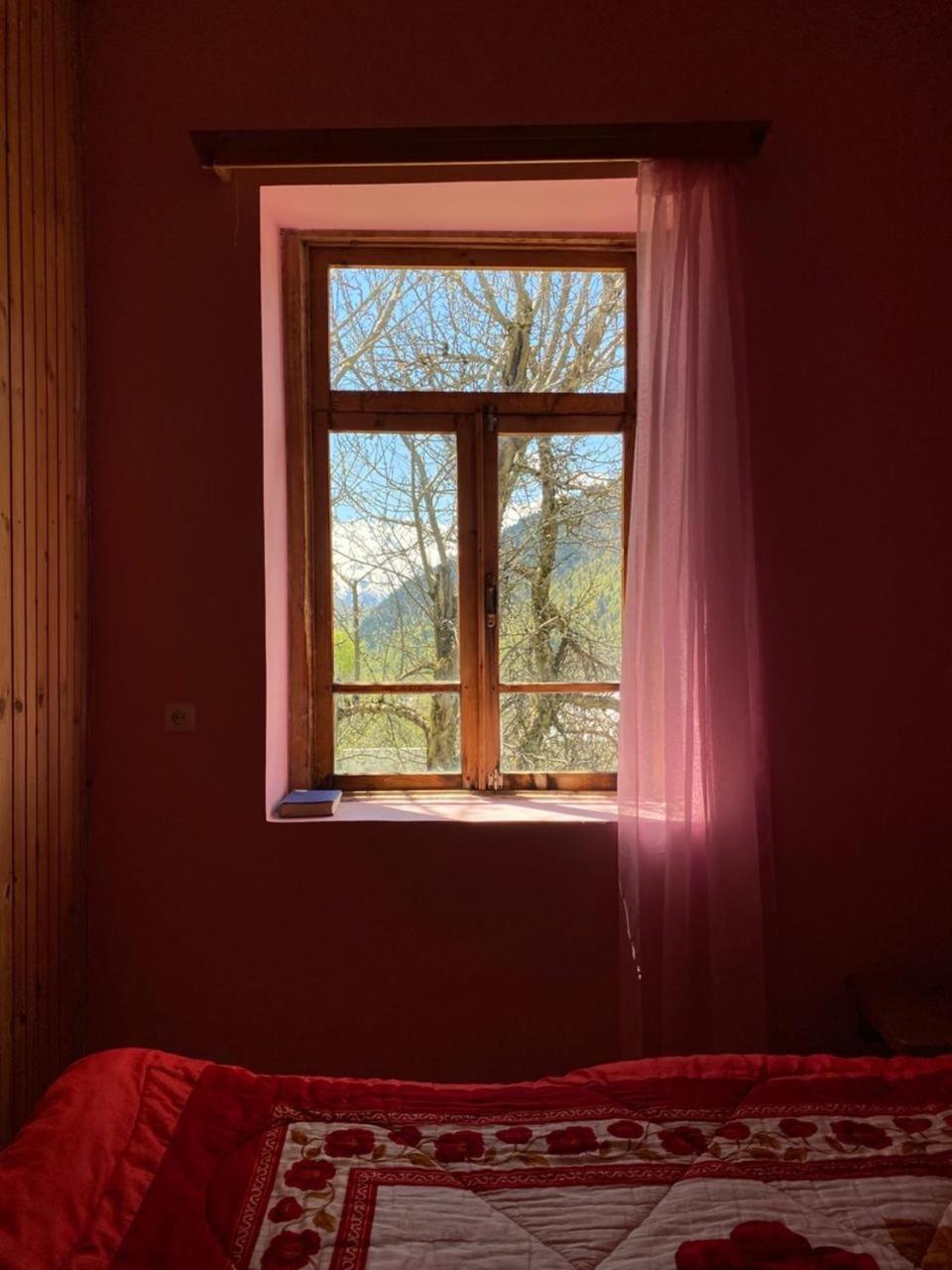Lia Jamdeliani Guest House Bagvdanari Chambre photo