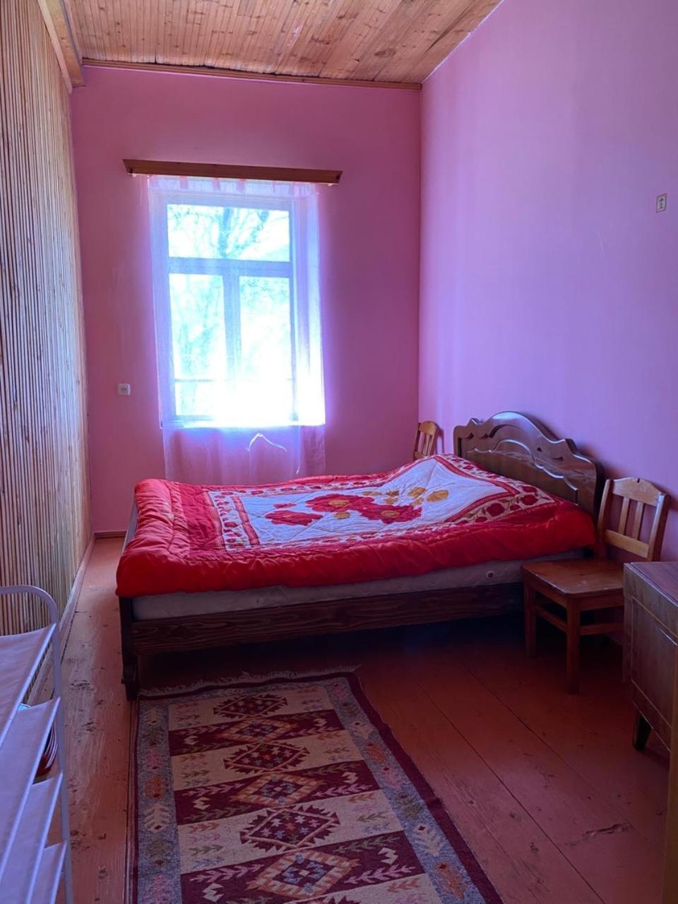 Lia Jamdeliani Guest House Bagvdanari Extérieur photo