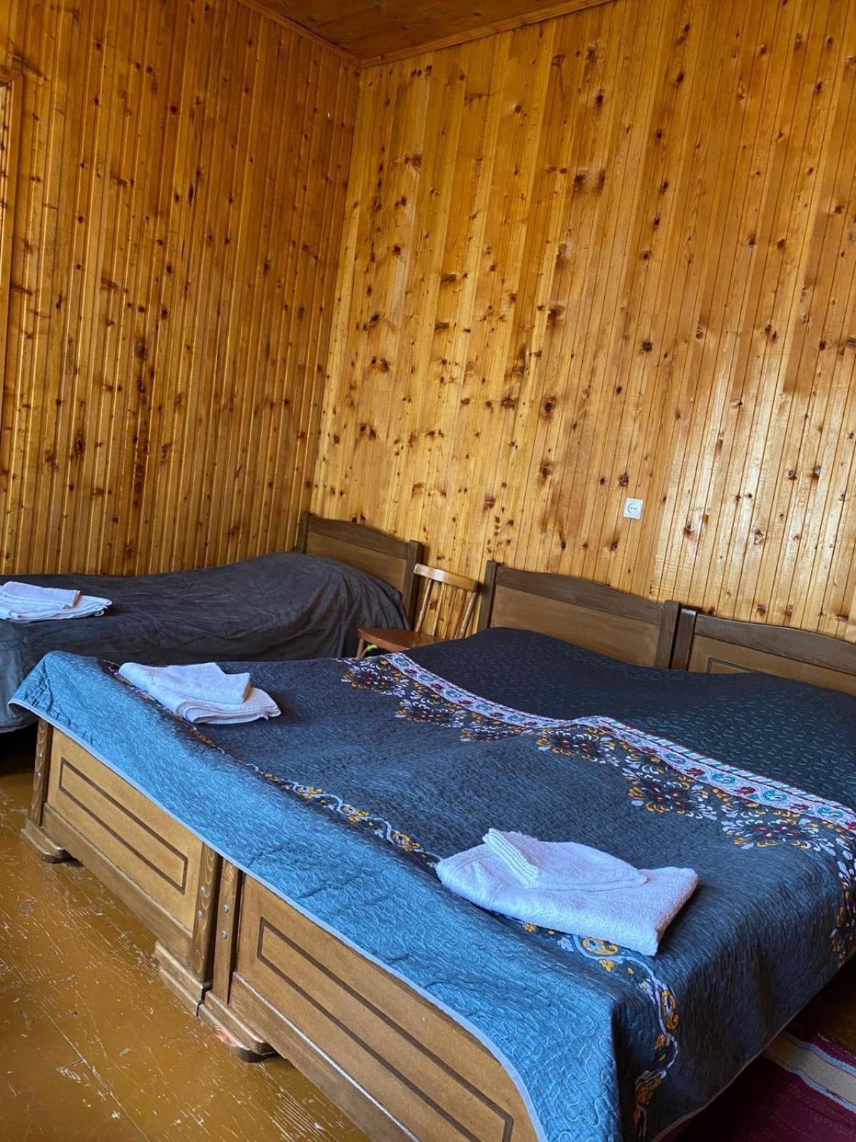 Lia Jamdeliani Guest House Bagvdanari Extérieur photo